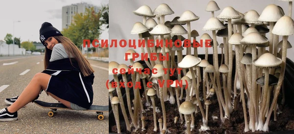ешки Лабытнанги